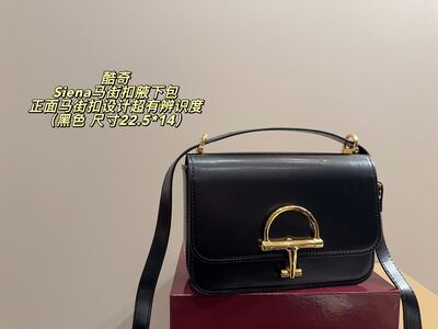 Gucci Siena Shoulder Bag view 9