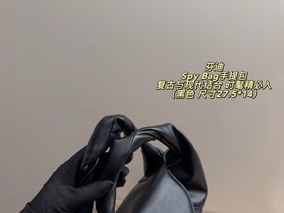 Fendi Spy Bag view 4