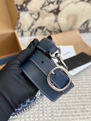 Coach Signature Hobo view 2