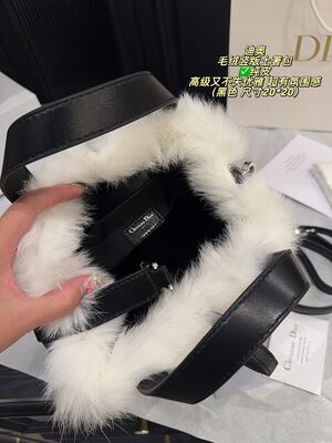 Dior Caro Bag view 2