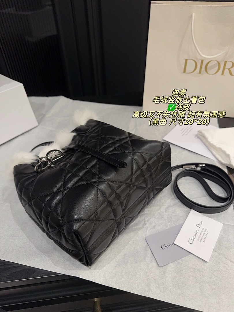 Dior Caro Bag