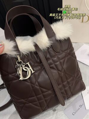 Dior Caro Bag view 12