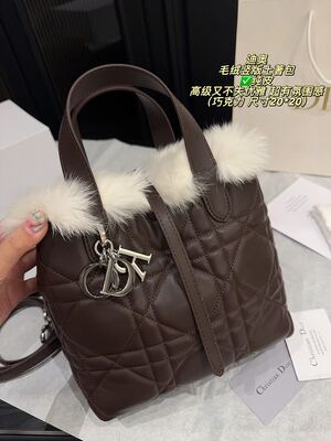 Dior Caro Bag view 13