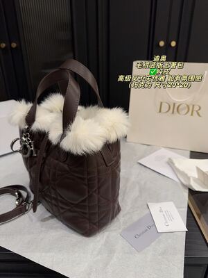 Dior Caro Bag view 15