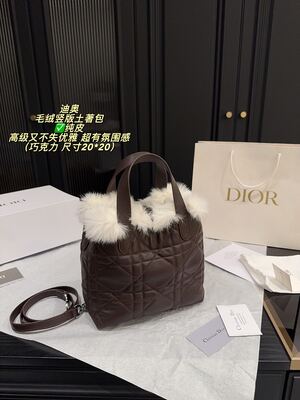 Dior Caro Bag view 16