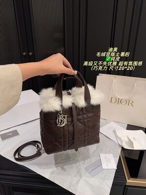 Dior Caro Bag view 17