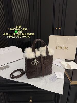 Dior Caro Bag view 18