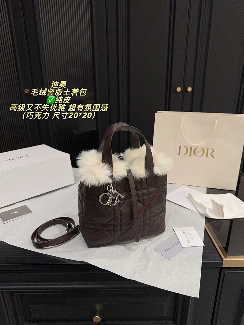 Dior Caro Bag view