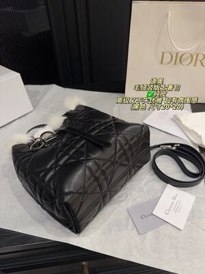 Dior Caro Bag view 1