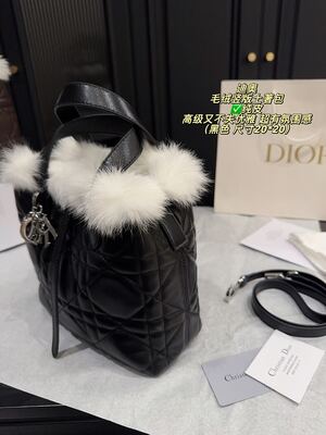 Dior Caro Bag view 4