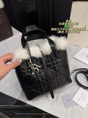 Dior Caro Bag view 5