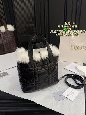 Dior Caro Bag view 6