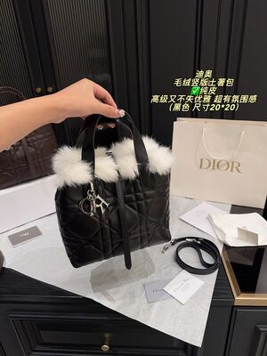 Dior Caro Bag view 7