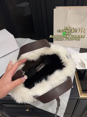 Dior Caro Bag view 10