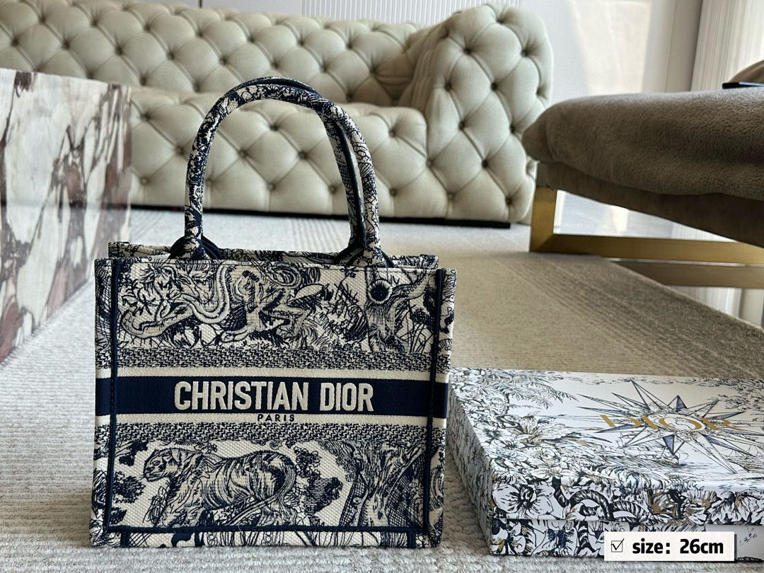 Dior Book Tote view