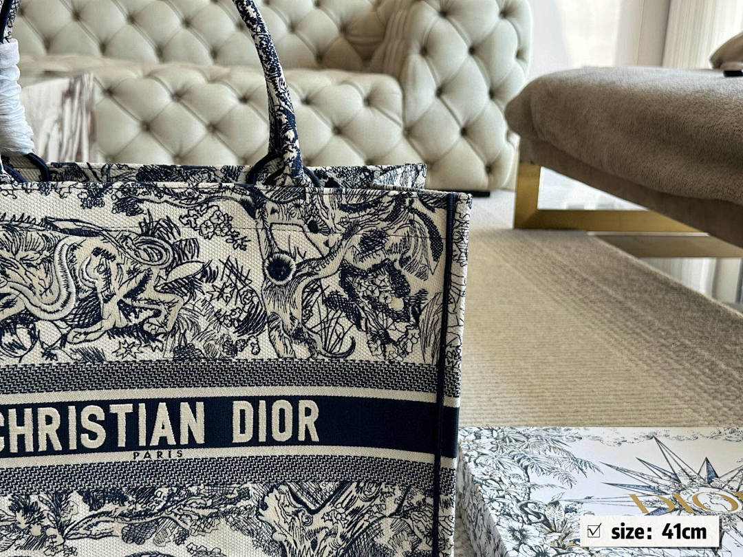 Dior Book Tote view