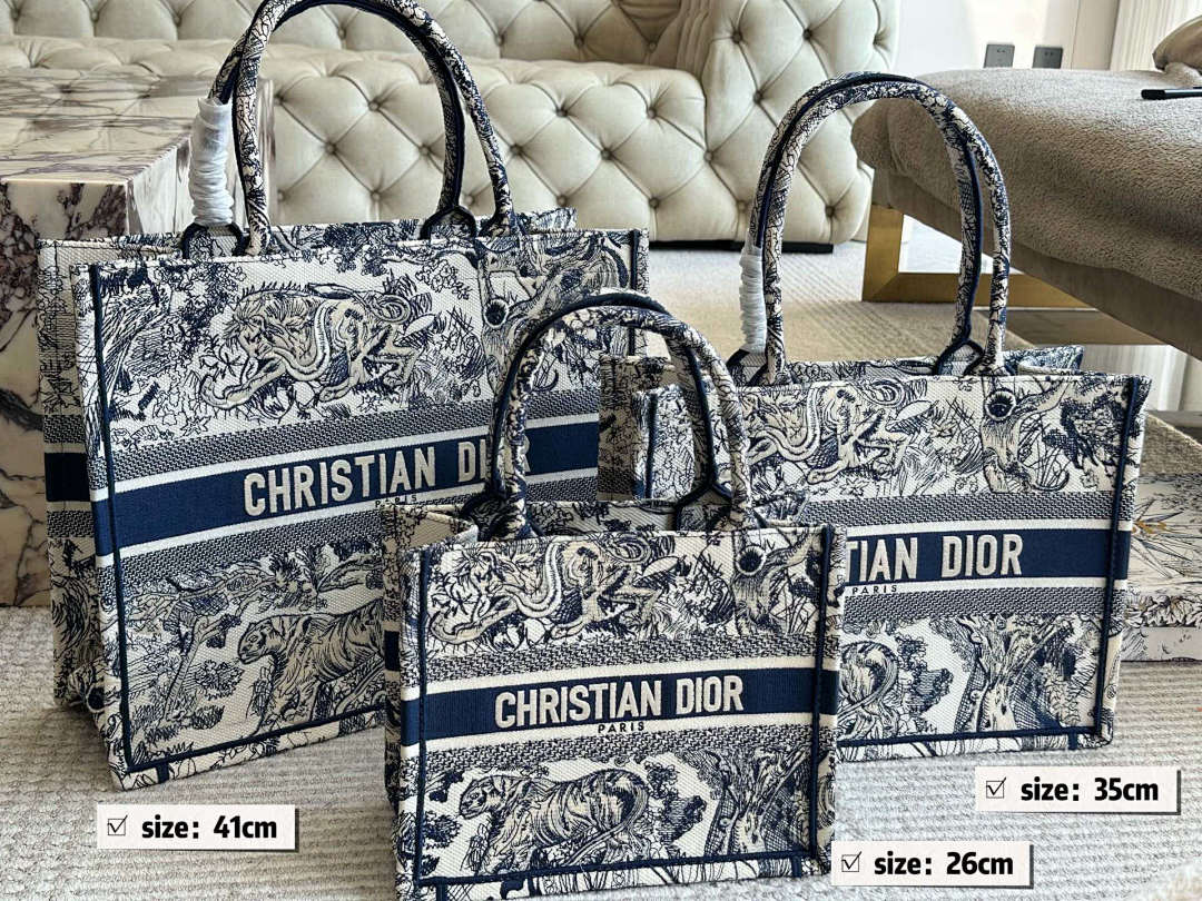 Dior Book Tote view