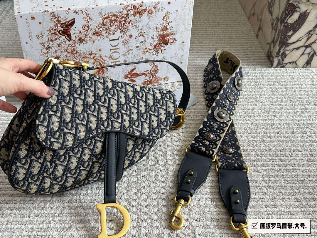 Dior Saddle Bag view