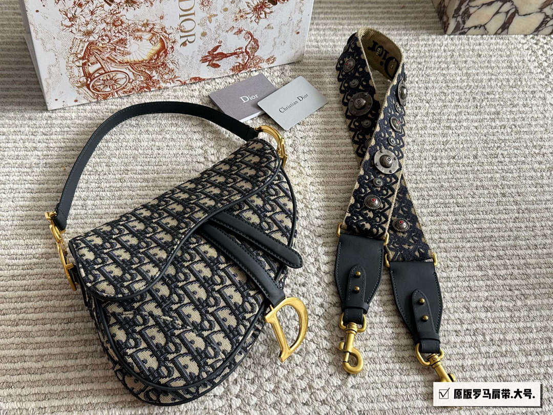 Dior Saddle Bag view