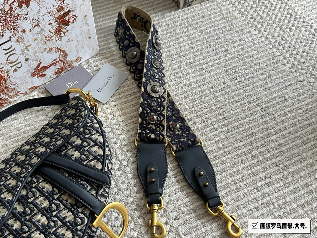 Dior Saddle Bag view