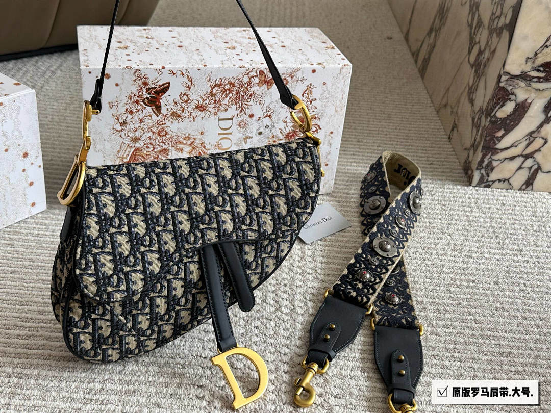 Dior Saddle Bag view