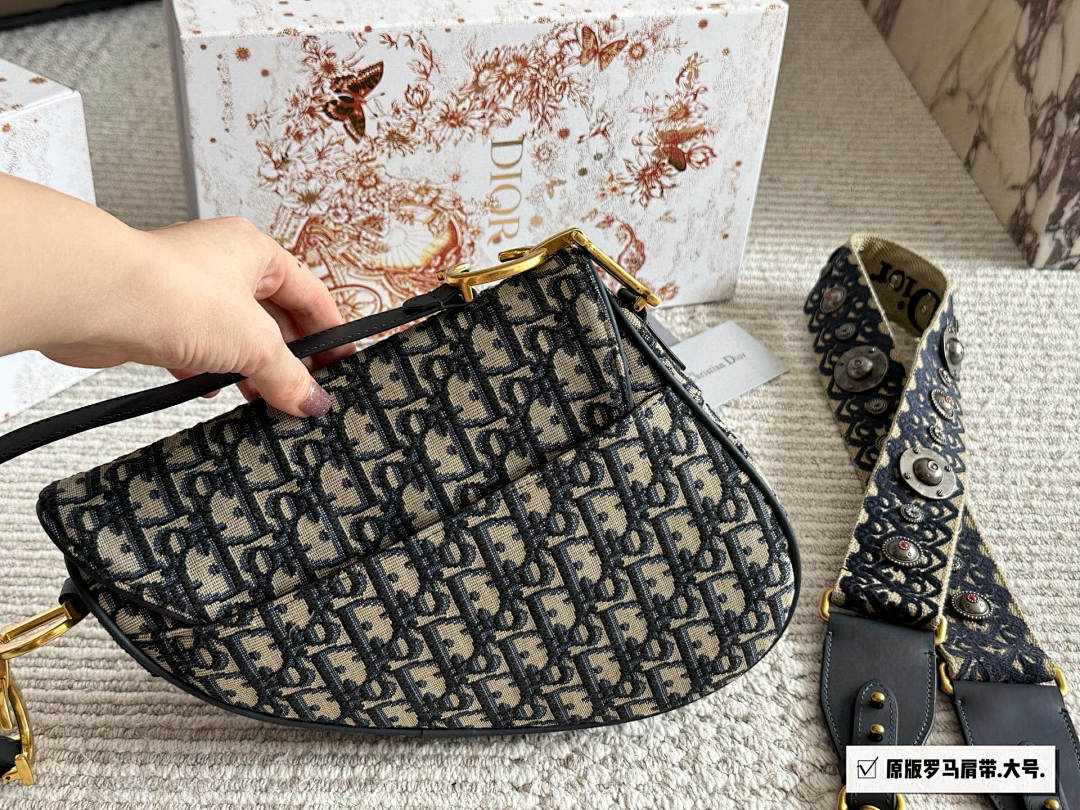 Dior Saddle Bag view