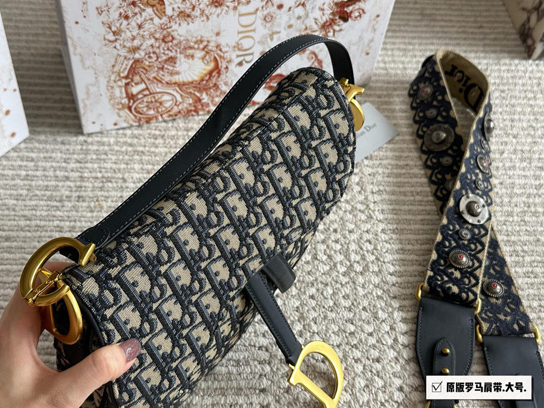 Dior Saddle Bag view