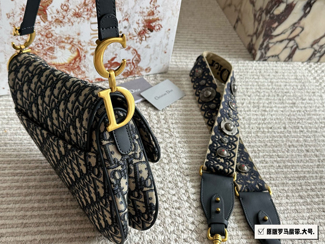 Dior Saddle Bag view