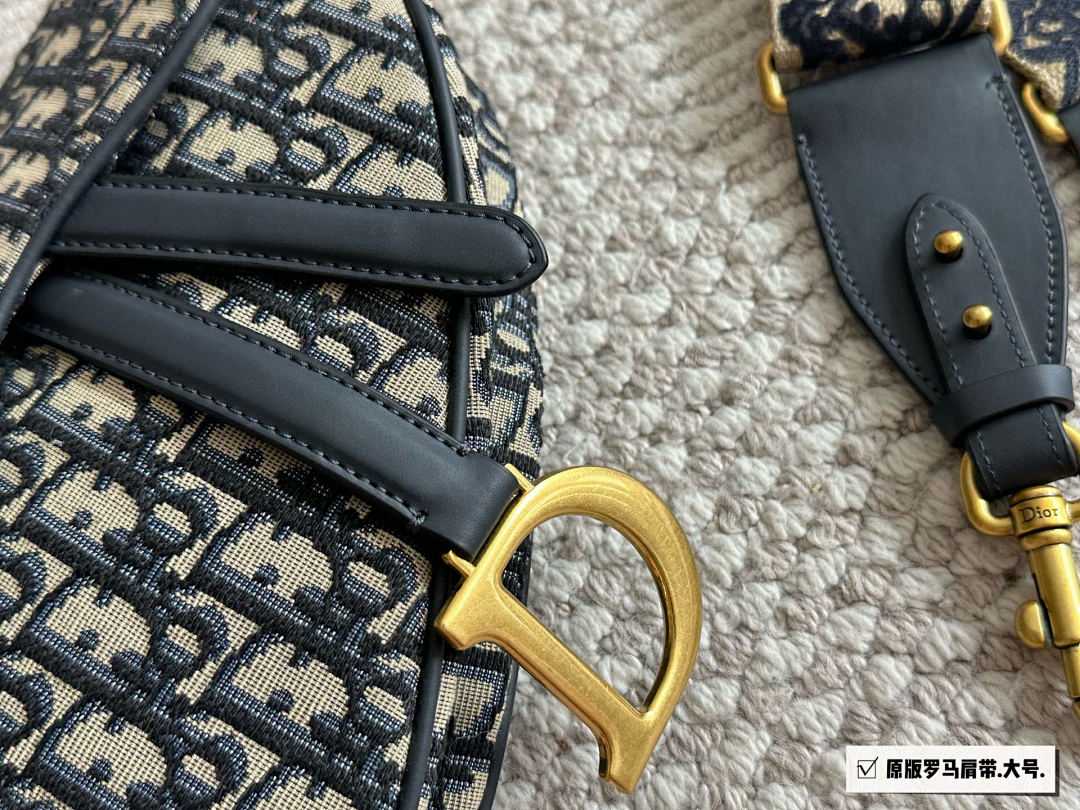 Dior Saddle Bag view