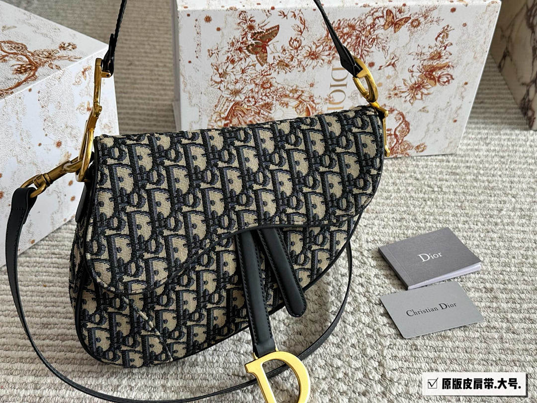 Dior Saddle Bag view