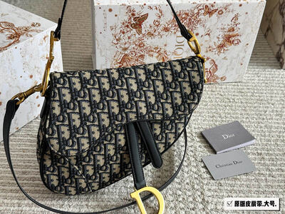 Dior Saddle Bag view 11