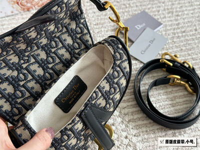 Dior Saddle Bag view 2