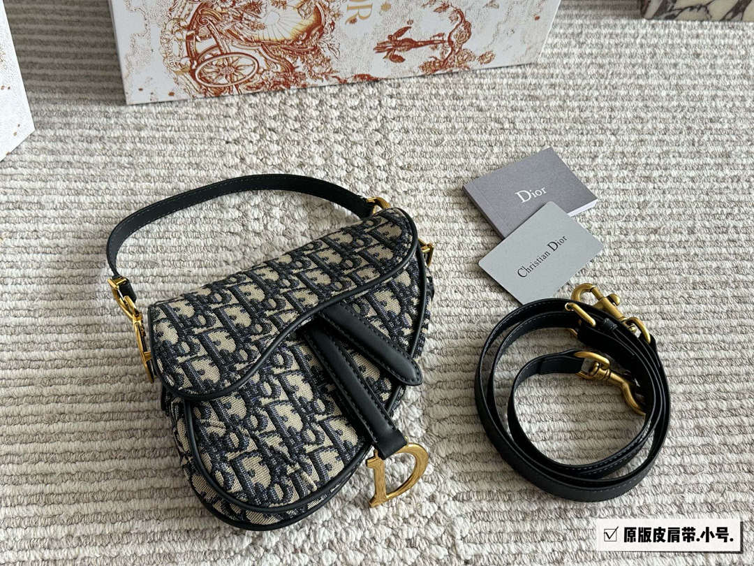 Dior Saddle Bag view