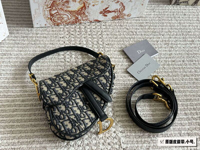 Dior Saddle Bag view 3