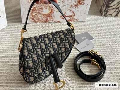Dior Saddle Bag view 4