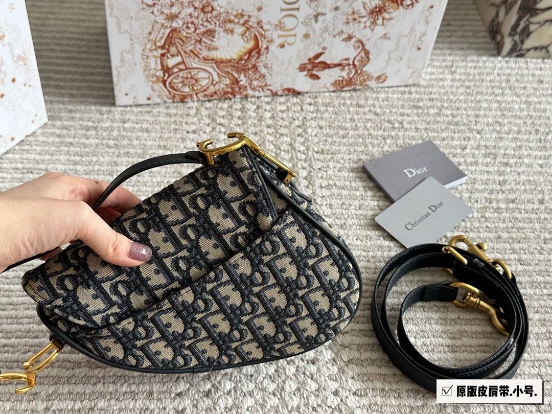 Dior Saddle Bag view