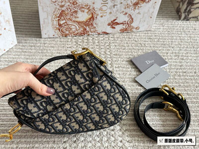 Dior Saddle Bag view 5