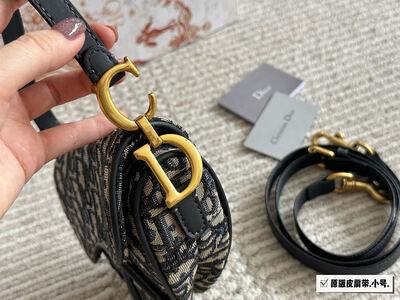 Dior Saddle Bag view 6