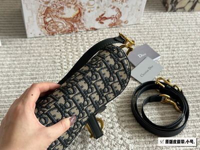 Dior Saddle Bag view 7