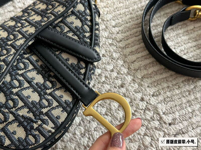 Dior Saddle Bag view 8