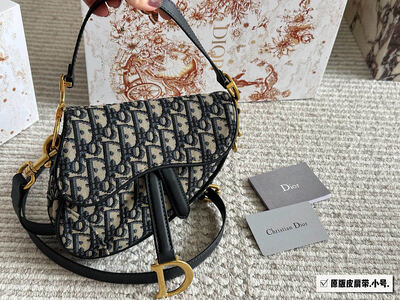 Dior Saddle Bag view 10