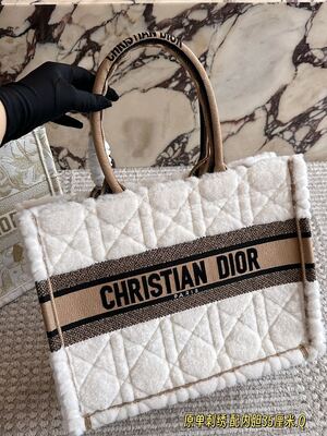 Dior Book Tote