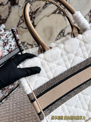 Dior Book Tote view 8
