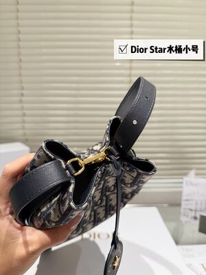 Dior Star Book Tote view 12