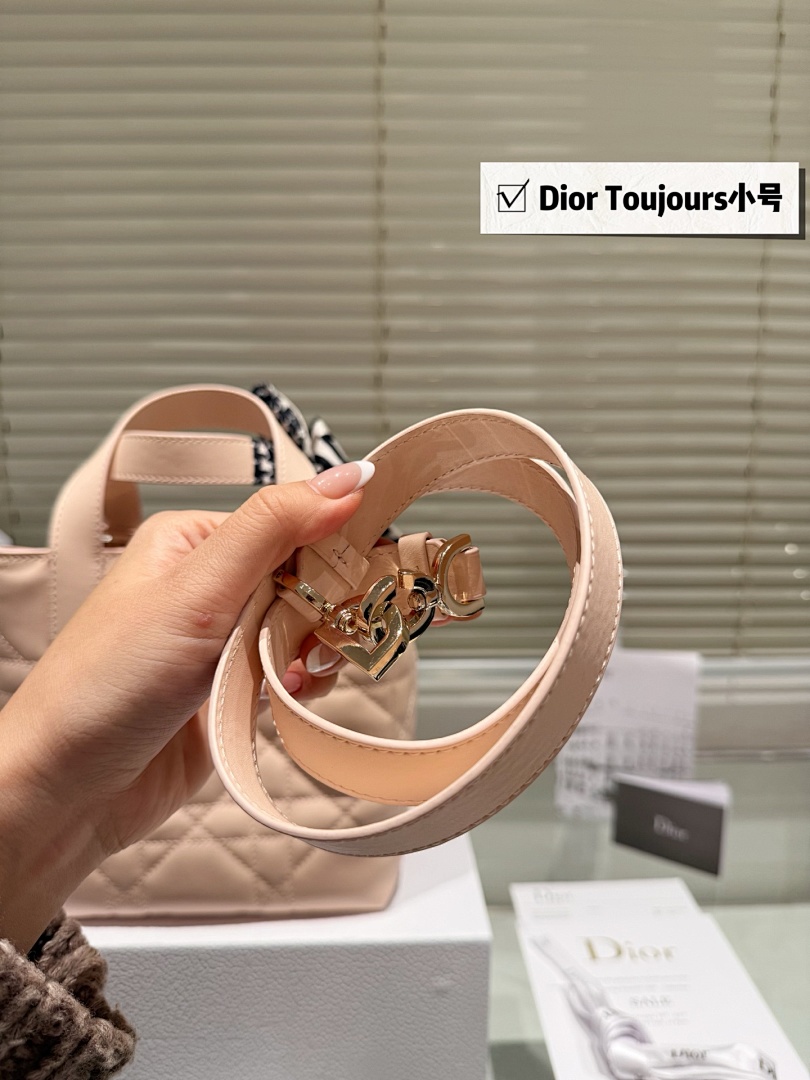 Dior Toujours Small Tote view