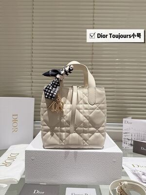 Dior Toujours Small Tote view 11