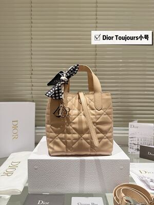 Dior Toujours Small Tote view 12