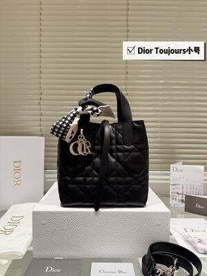 Dior Toujours Small Tote view 13