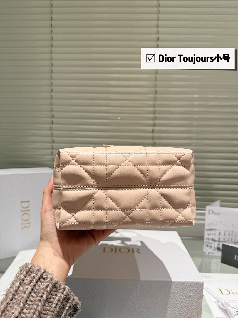 Dior Toujours Small Tote view