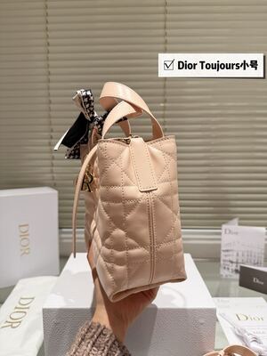 Dior Toujours Small Tote view 5